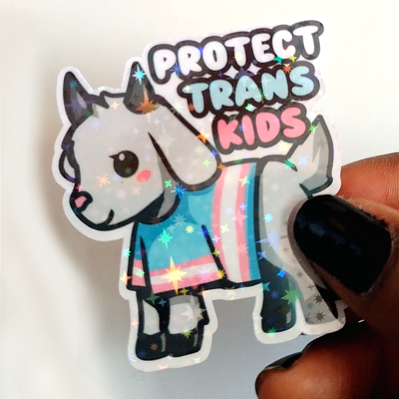 Trans Rights Stickers