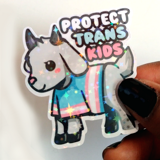 Trans Rights Stickers
